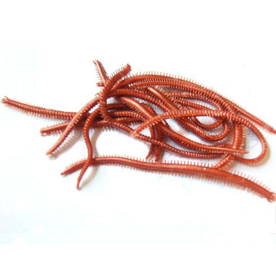 10PCS/Lot Artificial Sea Worms - огляд і ціна Fishing Lure Soft Plastic